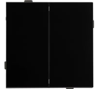 Механизм выключателя двухклавишный проходной Arlight SWT-TENDO-MKP2-PL-BK 1шт 054067