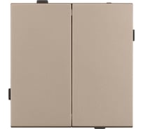 Механизм выключателя двухклавишный проходной Arlight SWT-TENDO-MKP2-PL-GD 1шт 054069