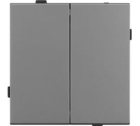 Механизм выключателя двухклавишный проходной Arlight SWT-TENDO-MKP2-PL-GR 1шт 054068