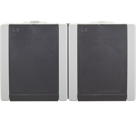 Двойная розетка Aling-conel POWER IP44 16A 250В открытой установки с поликарбонатовой вставкой, серый 2412.1A 117035