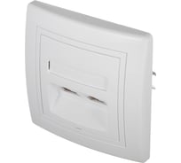 Коммуникационная двойная розетка Aling-conel PRESTIGE RJ45 Cat5e UTP, белая 614.00 113031