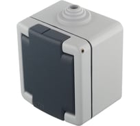 Розетка Aling-conel ARMOR IP55 16A 250В открытой установки с поликарбонатовой вставкой, серый 2711.1A 117006