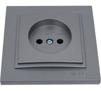 1-а розетка без земли Mono Electric DESPINA антрацит 102-242422-116