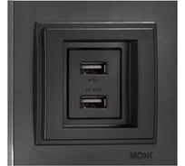 2-я USB розетка Mono Electric DESPINA зарядка, графит 102-202005-178