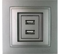 2-я USB розетка Mono Electric DESPINA зарядка, антрацит 102-242405-178