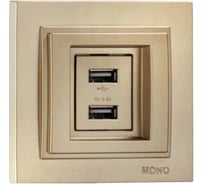 2-я USB розетка Mono Electric DESPINA зарядка, титан 102-222205-178