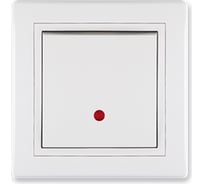 Выключатель Aling-conel PRESTIGE с индикацией 10AX 250В, белый 625.00 113043