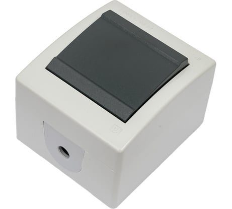 Клавишный однополюсный выключатель Aling-conel POWER IP44 10AX 250В открытой установки, серый 251.1A 117019