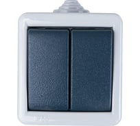 Двухклавишный выключатель Aling-conel ARMOR IP55 10AX 250В открытой установки, серый 282.1A 117013