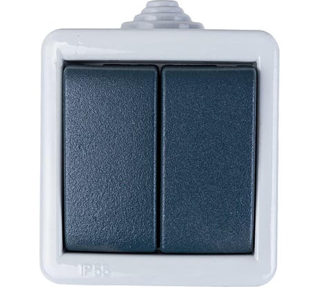 Двухклавишный выключатель Aling-conel ARMOR IP55 10AX 250В открытой установки, серый 282.1A 117013