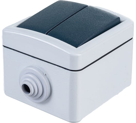 Двухклавишный выключатель Aling-conel ARMOR IP55 10AX 250В открытой установки, серый 282.1A 117013