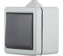 Клавишный однополюсный выключатель Aling-conel ARMOR IP55 10AX 250В открытой установки, серый 281.1A 117010