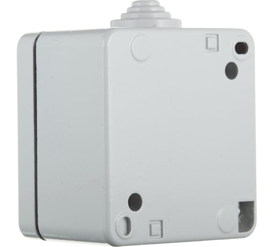 Клавишный однополюсный выключатель Aling-conel ARMOR IP55 10AX 250В открытой установки, серый 281.1A 117010