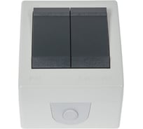 Двухклавишный выключатель Aling-conel POWER IP44 10AX 250В открытой установки, серый 252.1A 117025
