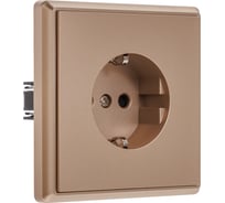 1-местная силовая розетка ALTECH ENCORE 1SY скрытого монтажа с заземлением и шторками шампань в сборе 07435
