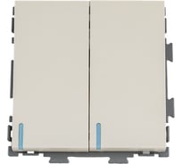 Двухклавишный выключатель CGSS бежевый Практика PL-W102-BGG