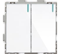 Двухклавишный проходной переключатель CGSS, белый "Практика" PL-W102-PWCG