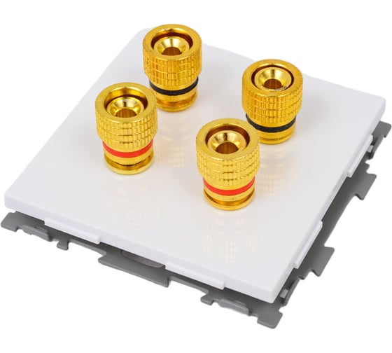 Аудио розетка CGSS Hi-End белая Практика PL-W201A-WCG