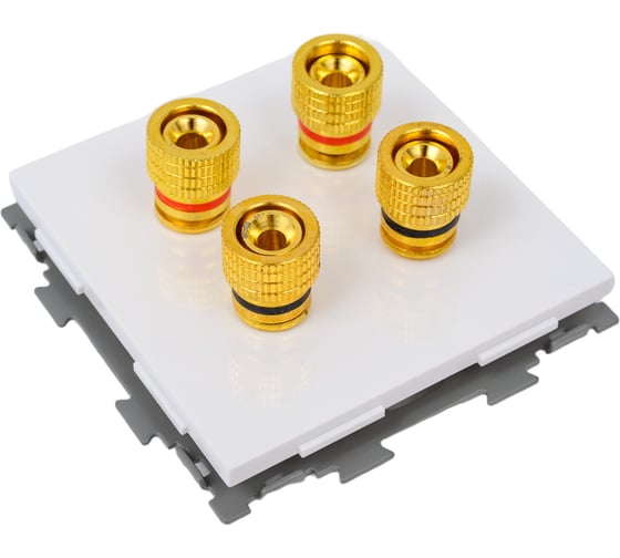 Аудио розетка CGSS Hi-End белая Практика PL-W201A-WCG