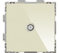 Спутниковая розетка CGSS SAT бежевая Практика PL-W201S-BGG