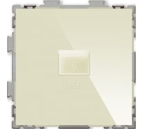USB розетка CGSS 2.1А бежевая Практика PL-W201U-BGG