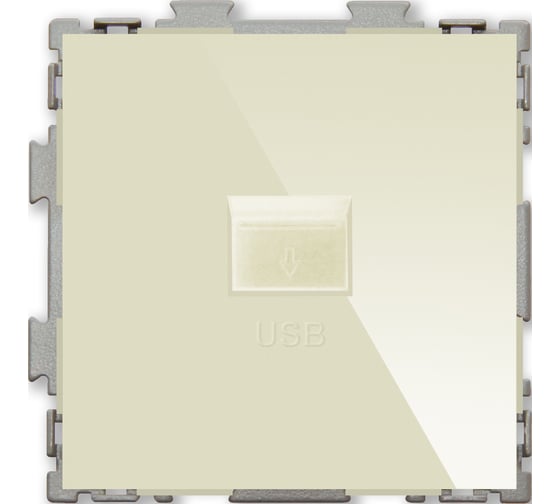 USB розетка CGSS 2.1А бежевая Практика PL-W201U-BGG