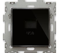USB розетка CGSS 2.1А черная Эстетика GL-W201U-BCG