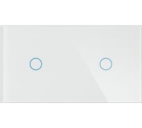 Панель для двух механизмов CGSS 1 1 белая Эстетика 157х86 WT-P01 1-WCG