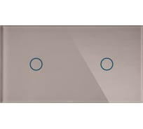 Панель для двух механизмов CGSS 1+1 светло-дымчатая "Эстетика" 157х86 WT-P01+1-LSG