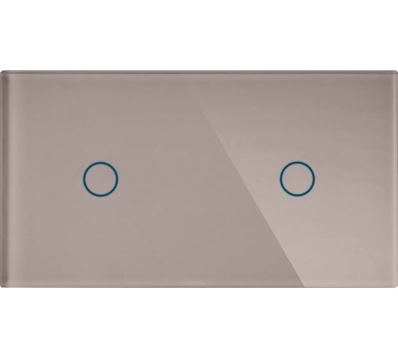 Панель для двух механизмов CGSS 1+1 светло-дымчатая "Эстетика" 157х86 WT-P01+1-LSG 1
