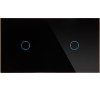 Панель для двух механизмов CGSS на одну линию 1 1 черная Эстетика 157х86 WT-P01 1-BCG