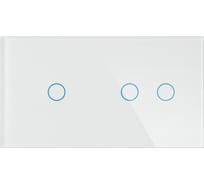 Панель для двух механизмов CGSS 1 2 2 1 белая Эстетика 157х86 WT-P03-WCG