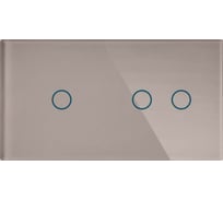 Панель для двух механизмов CGSS 1+2 2+1 светло-дымчатая "Эстетика" 157х86 WT-P03-LSG