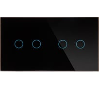 Панель для двух механизмов CGSS на две линии 2 2 черная Эстетика 157х86 WT-P04-BCG