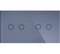 Панель для двух механизмов CGSS на две линии 2+2 серая платина Эстетика 157х86 WT-P04-GPG