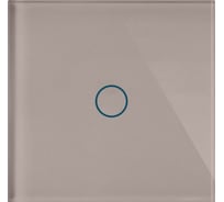 Панель сенсорного выключателя CGSS, отдельная, светло-дымчатая Эстетика 86х86 WT-P01-LSG