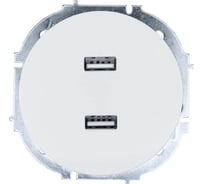 Розетка 2-ая USB разъем Lezard OSEN белая 743-0288-192