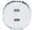 Розетка 2-ая USB разъем Lezard OSEN белая 743-0288-192 1