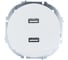 Розетка 2-ая USB разъем Lezard OSEN белая 743-0288-192 2