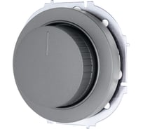 Диммер для LED ламп 250 Вт серый матовый Lezard OSEN 743-7488-163