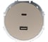 Розетка TC+ USB разъем Lezard OSEN титан 743-3788-192TC 1