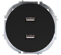 Розетка 2-ая USB разъем Lezard OSEN чёрный бархат 743-4288-192