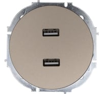 Розетка 2-ая USB разъем Lezard OSEN титан 743-3788-192