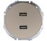 Розетка 2-ая USB разъем Lezard OSEN титан 743-3788-192 2