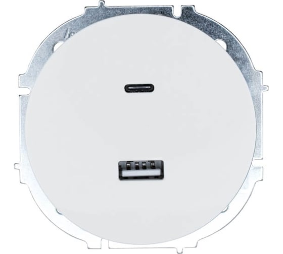 Розетка Lezard OSEN TC+ USB разъем, белая 743-0288-192TC 1