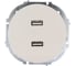 Розетка 2-ая USB разъем Lezard OSEN слоновая кость 743-9088-192 2