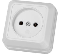 Розетка TDM ELECTRIC 2П открытой установки IP20 10А 250В керамика белая "Ладога" SQ1801-0110