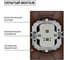 Розетка TDM ELECTRIC двойная 2П+З 16А 250В "ЭКО" бук "Таймыр" SQ1814-0314 3