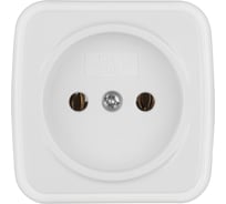 Розетка TDM ELECTRIC 2П открытой установки IP20 10А, белая "Дача" Народная SQ1824-0007