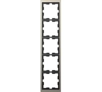 5-ая рамка Systeme Electric Merten D-Life Никель SE MTN4050-6550